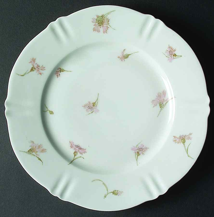 Schleiger 1029-4 Dinner Plate by Haviland-1