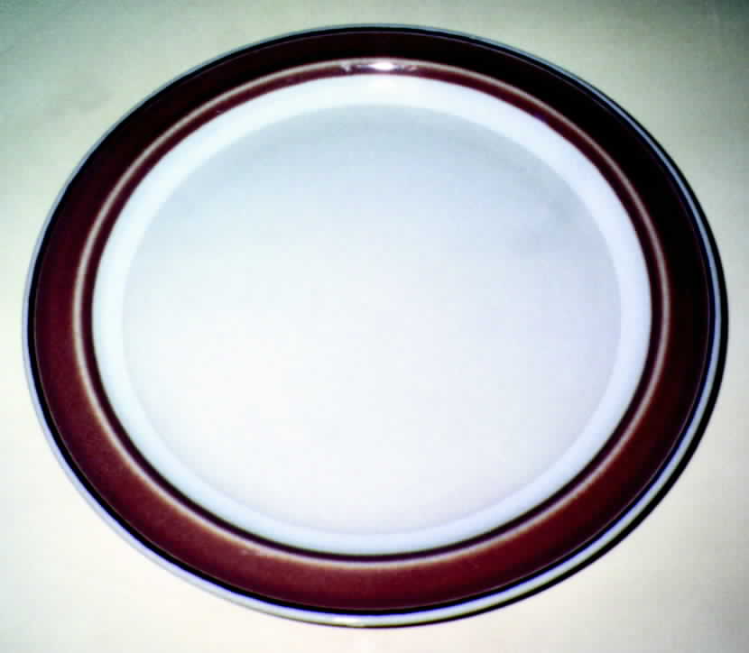 Coral Reef Dinner Plate by Horizon Stoneware-1