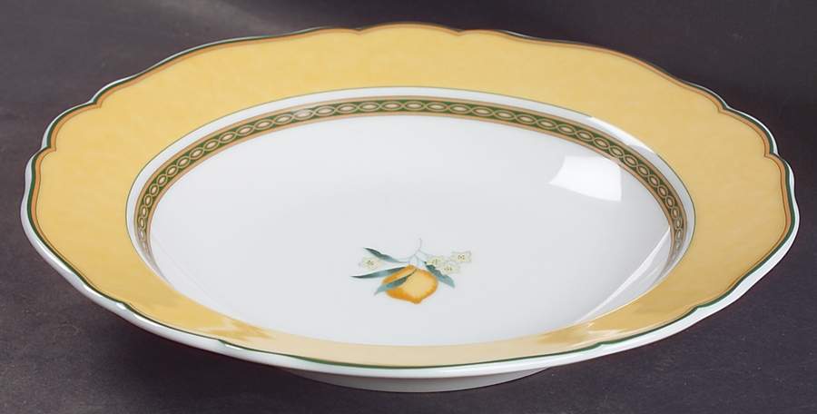 Tierra Rim Soup Bowl by Hutschenreuther-1