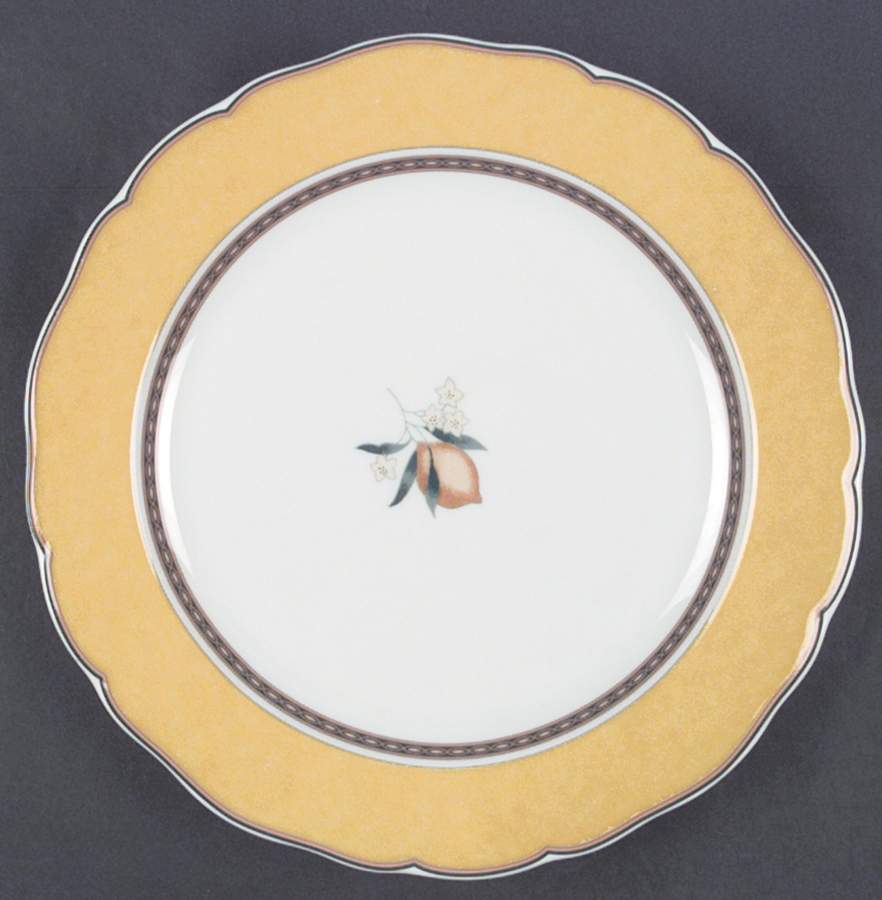 Tierra Dinner Plate by Hutschenreuther-1