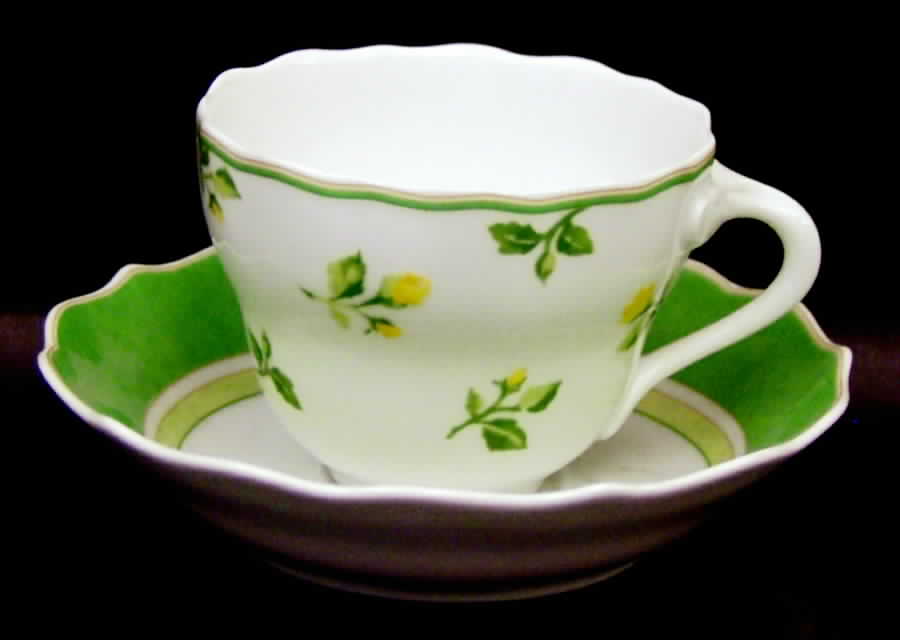 Summerdream Flat Cup & Saucer Set by Hutschenreuther-1