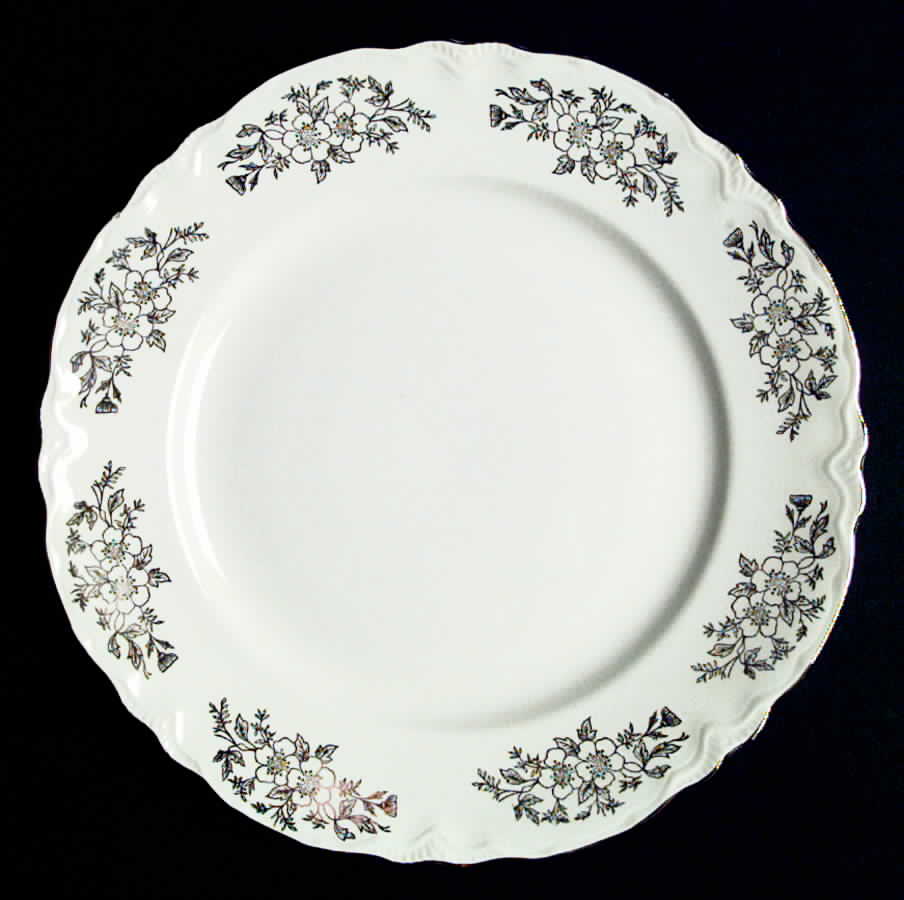 HLC850 Dinner Plate by Homer Laughlin -1