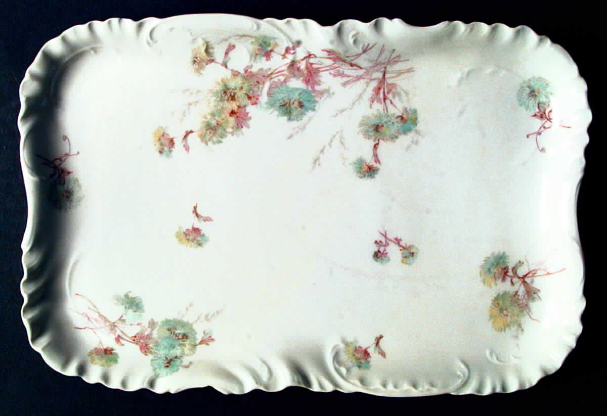 Schleiger 664-5 14" Rectangular Serving Platter by Haviland-1