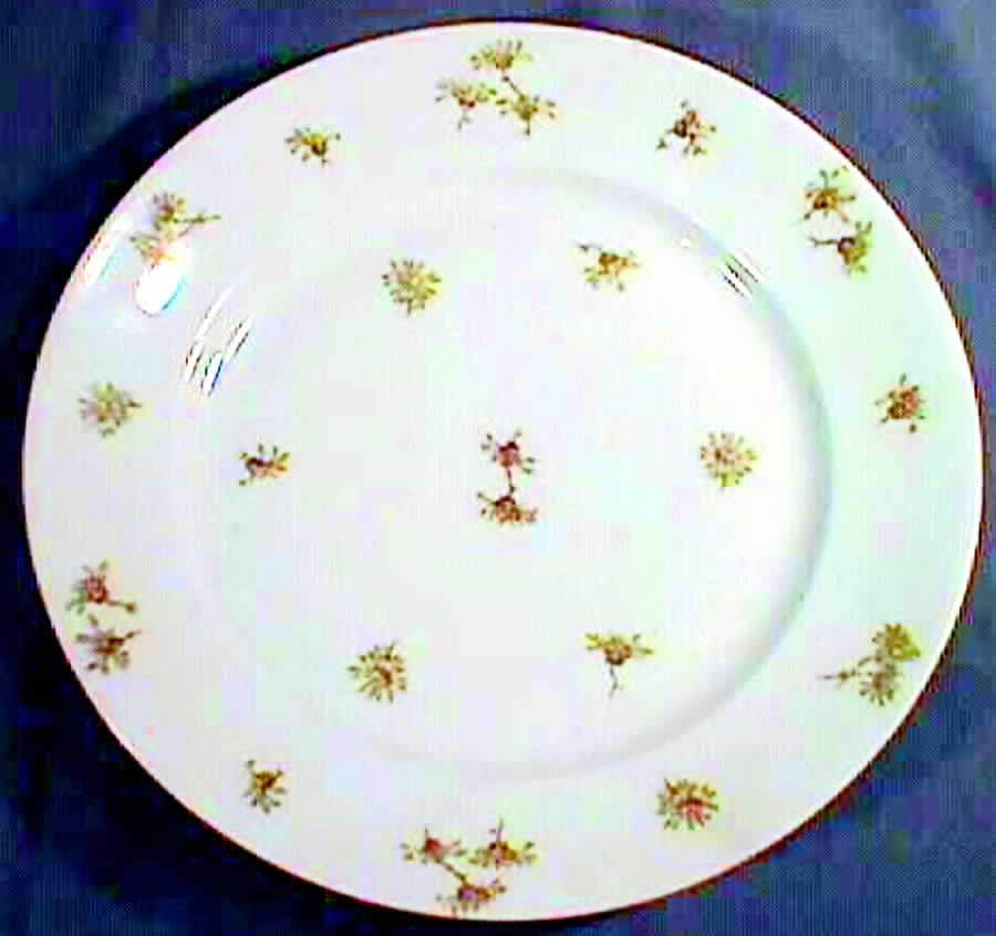 Schleiger 316 Dinner Plate by Haviland-1