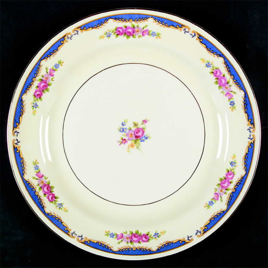 N1645 Dinner Plate by Homer Laughlin -1