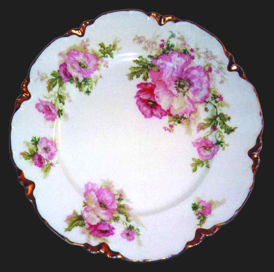 H690 Dinner Plate by Haviland-1