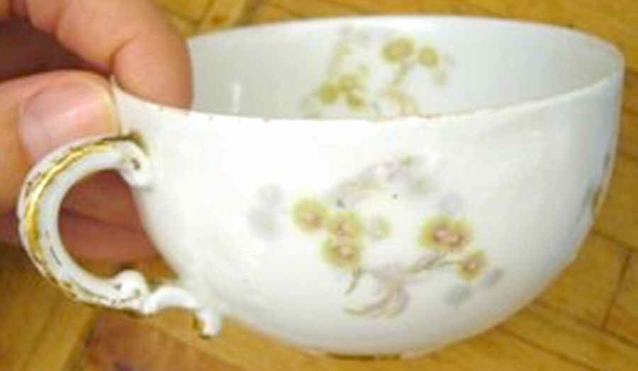 Schleiger 1030-1 Flat Cup by Haviland-1