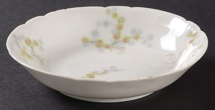 Schleiger 1030-1 Fruit/Dessert (Sauce) Bowl by Haviland-1