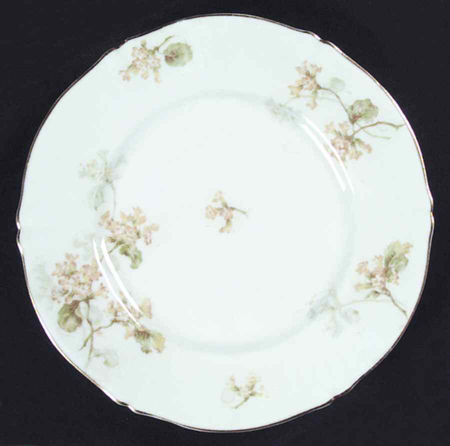 H693 Dinner Plate by Haviland-1