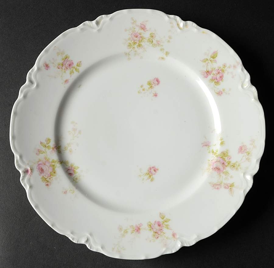 Schleiger 49A Dinner Plate by Haviland-1