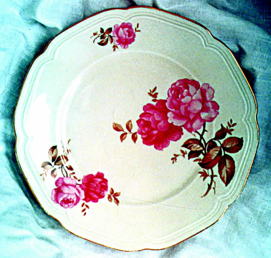HUT622 Dinner Plate by Hutschenreuther-1