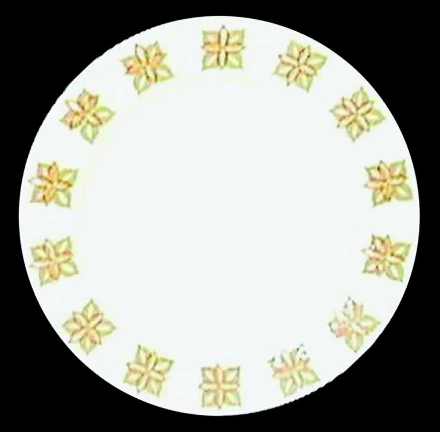 HLC857 Dinner Plate by Homer Laughlin -1