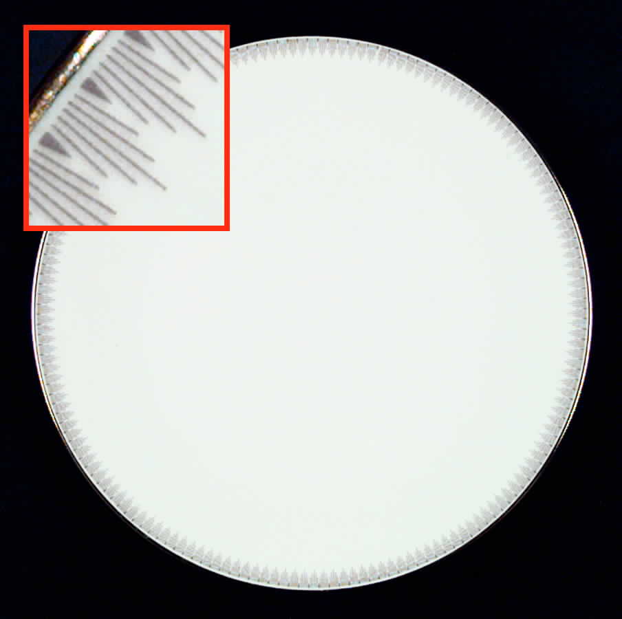 HUT623 Dinner Plate by Hutschenreuther-1