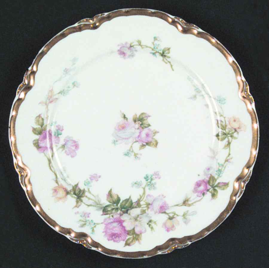 H698 Bread & Butter Plate by Haviland-1