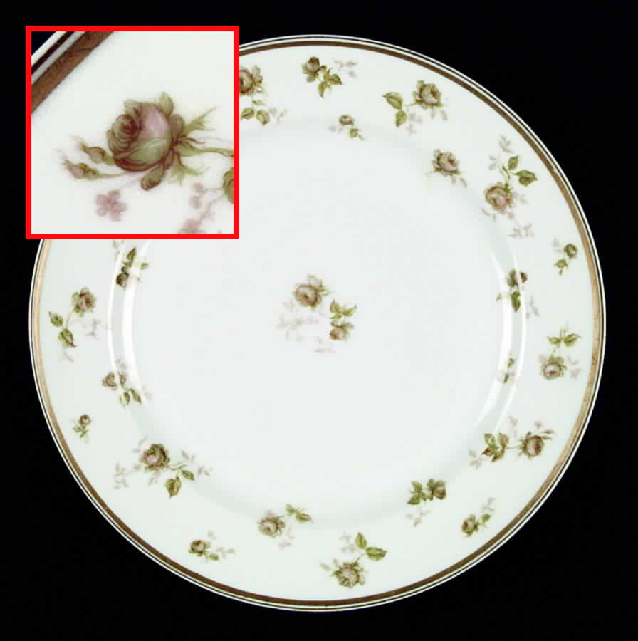 H699 Dinner Plate by Haviland-1