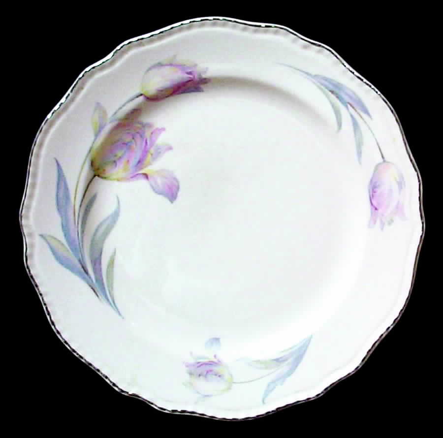 HLC868 Dinner Plate by Homer Laughlin -1
