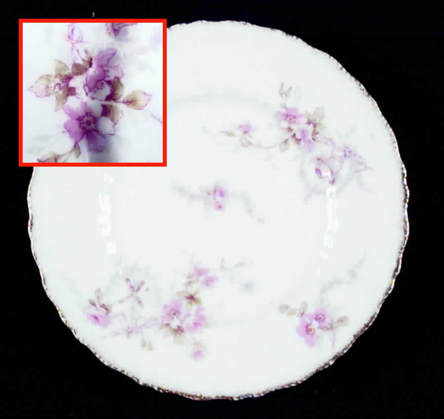 Schleiger 1032-4 Bread & Butter Plate by Haviland-1
