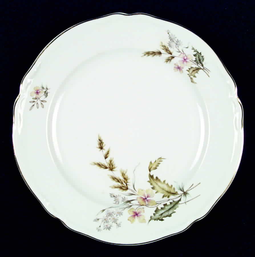 Harvest Time Dinner Plate by Hutschenreuther-1