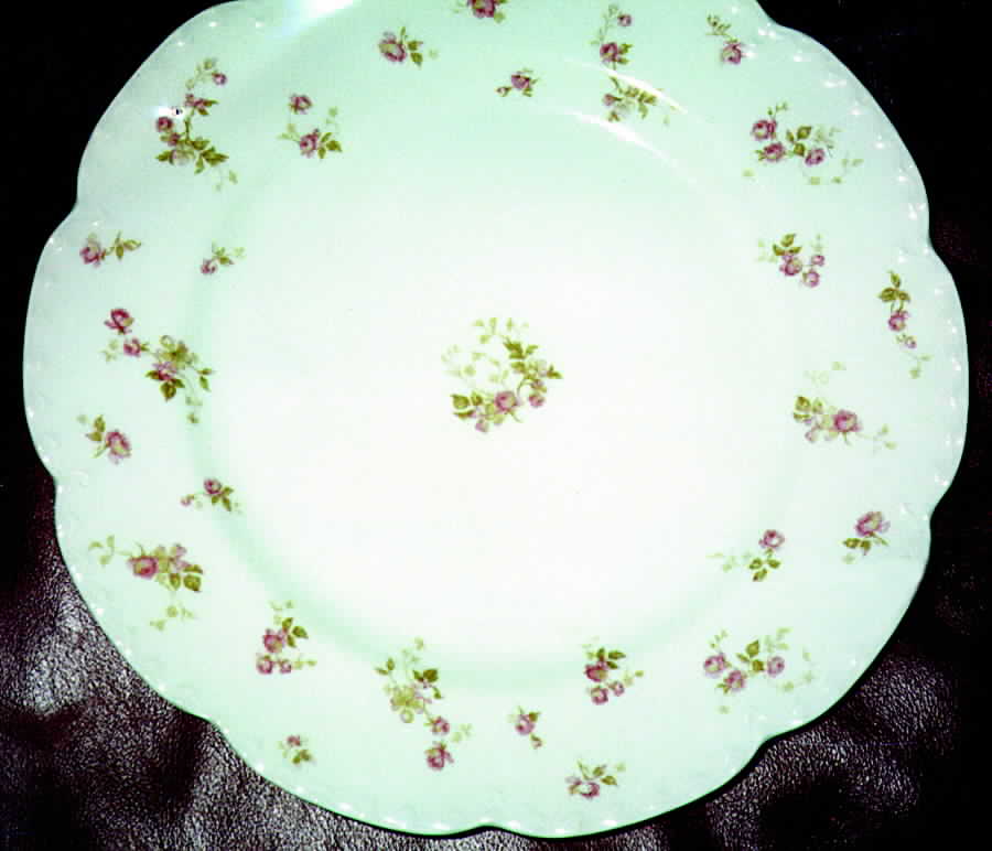H710 Dinner Plate by Haviland-1