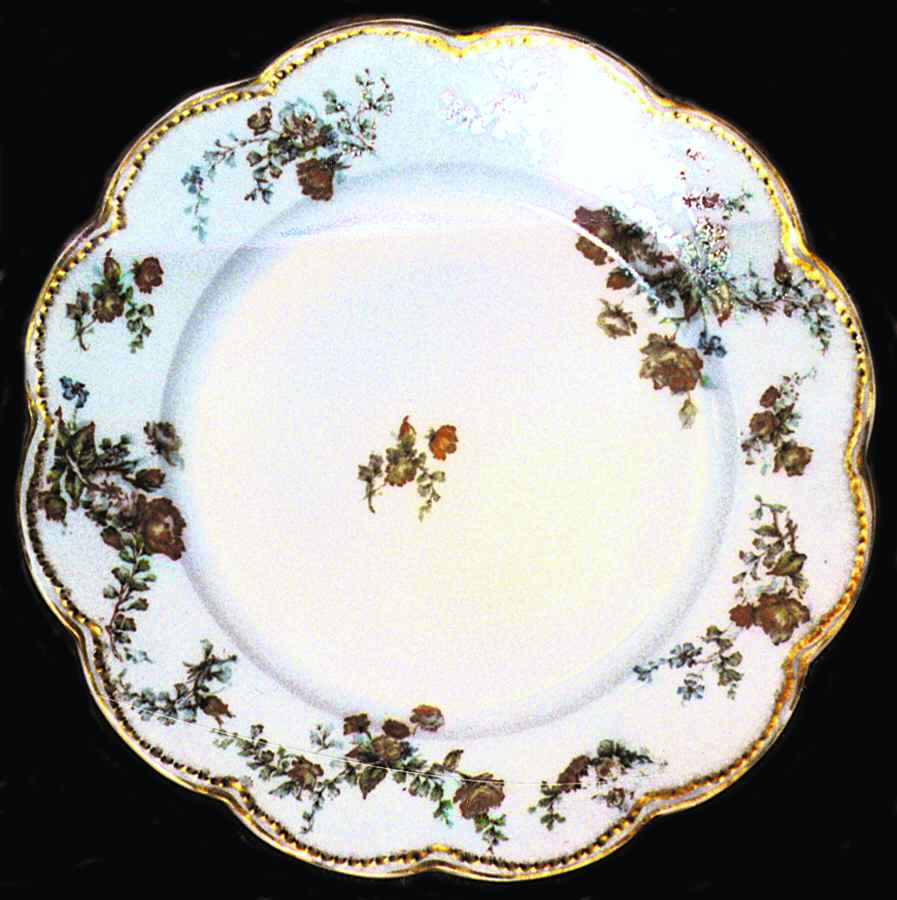 Schleiger 682-6 Dinner Plate by Haviland-1