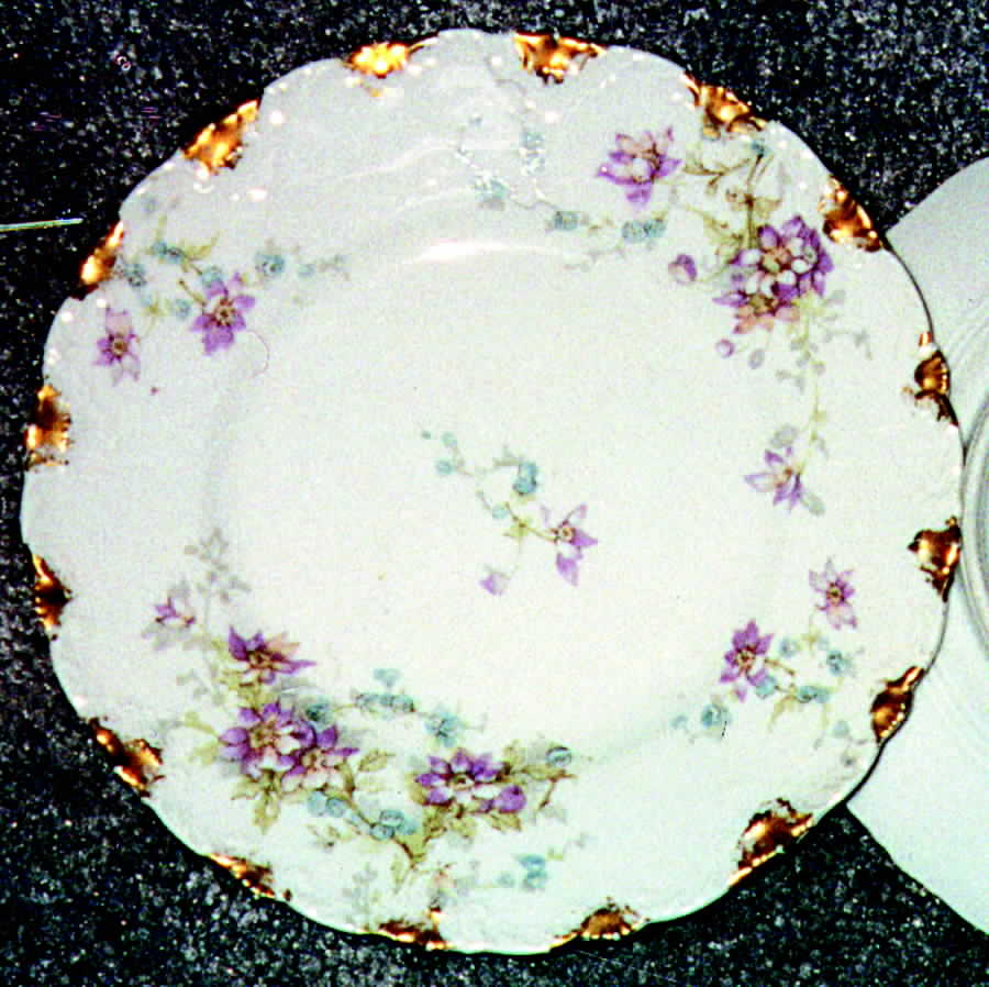 Schleiger 1014-6 Dinner Plate by Haviland-1