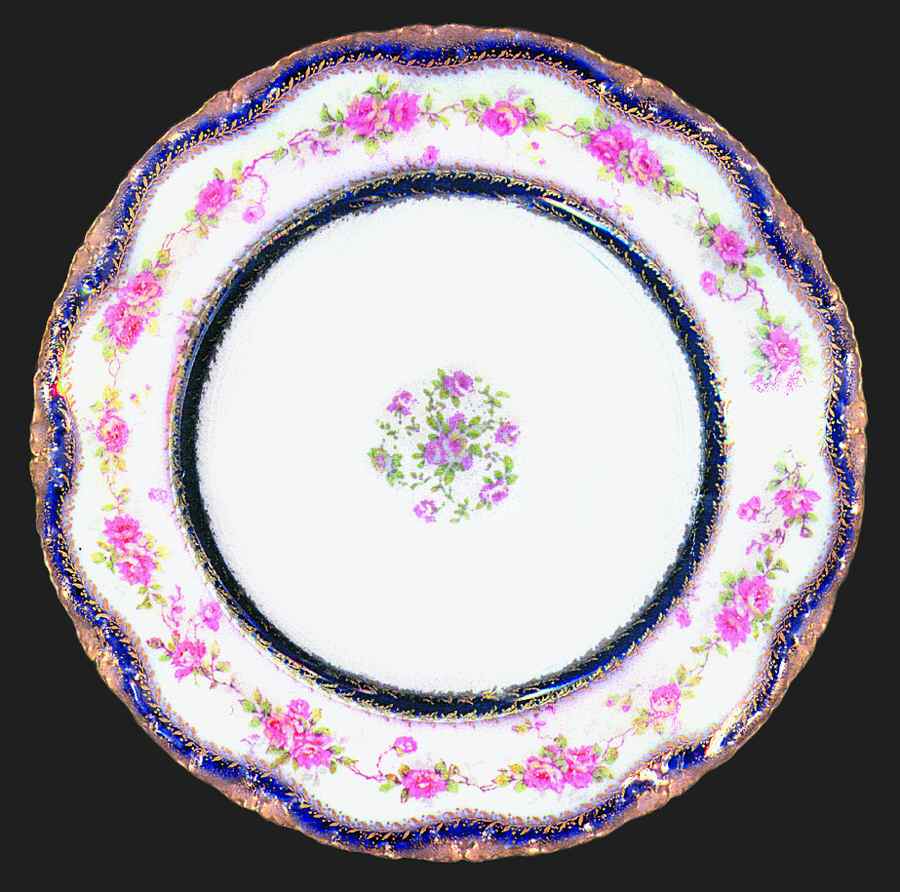 Schleiger 350-4 Bread & Butter Plate by Haviland-1