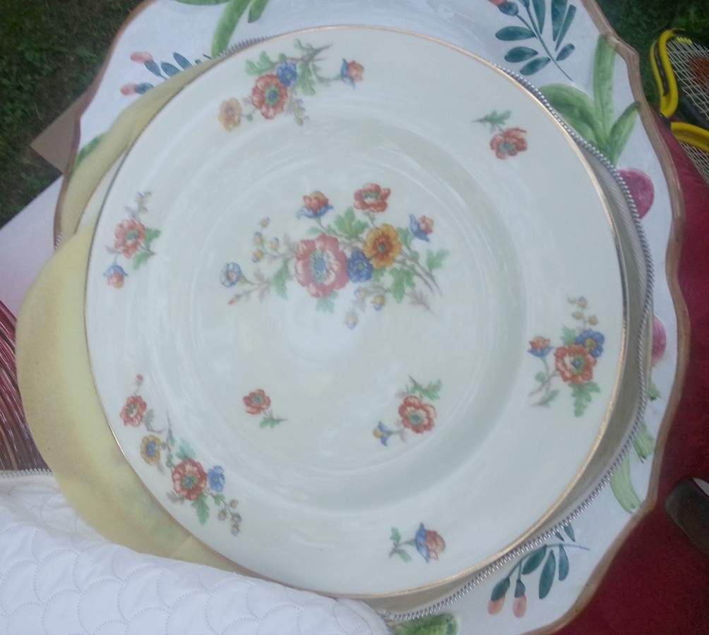 H716 Dinner Plate by Haviland-1
