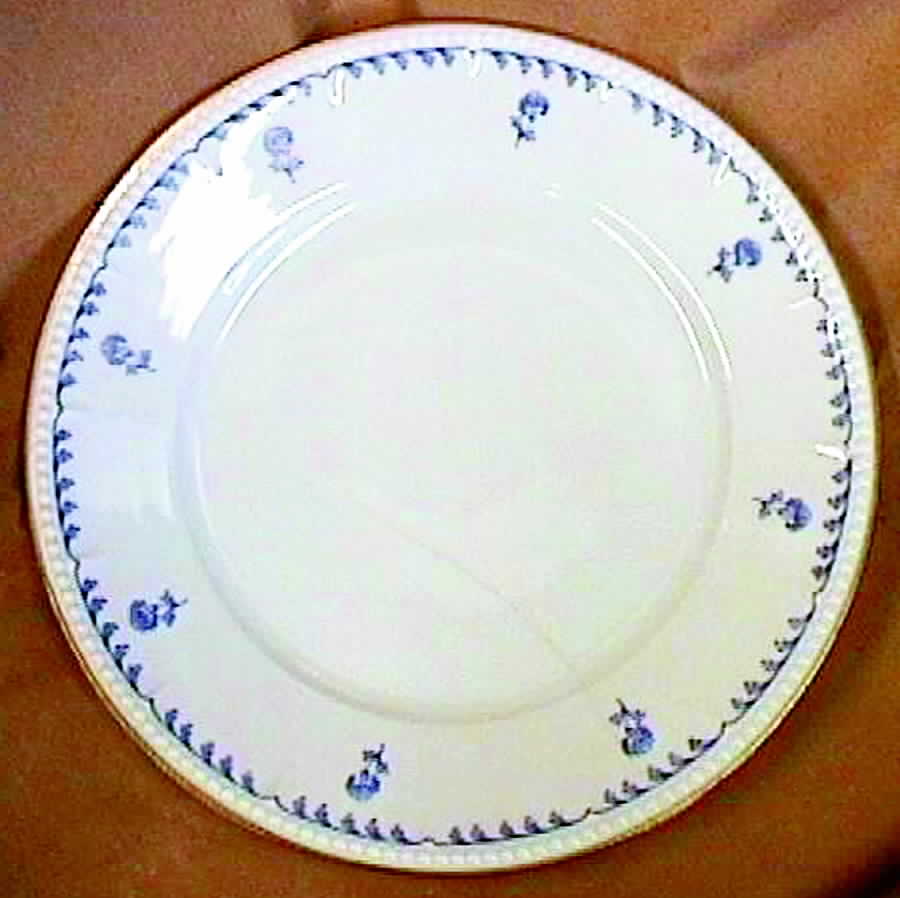 HUT628 Dinner Plate by Hutschenreuther-1