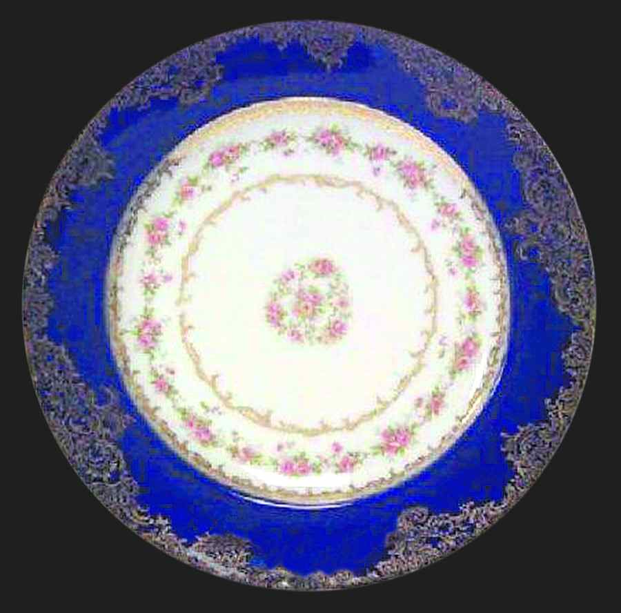 H717 Dinner Plate by Haviland-1