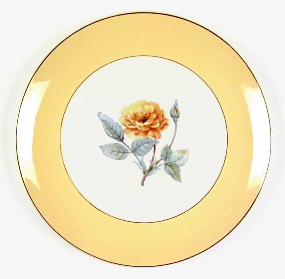 RY288 Dinner Plate by Homer Laughlin -1