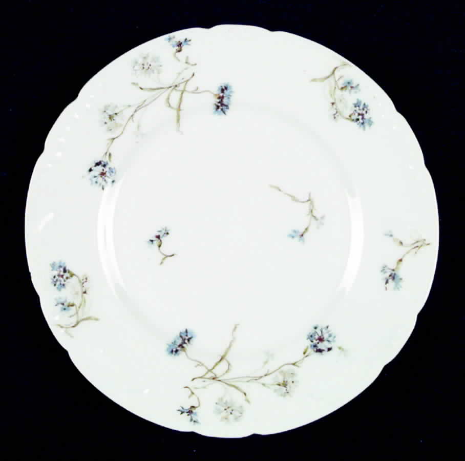 H719 Salad Plate by Haviland-1