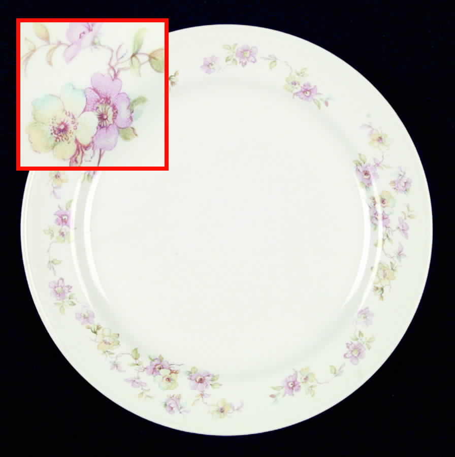 HLC884 Dinner Plate by Homer Laughlin -1