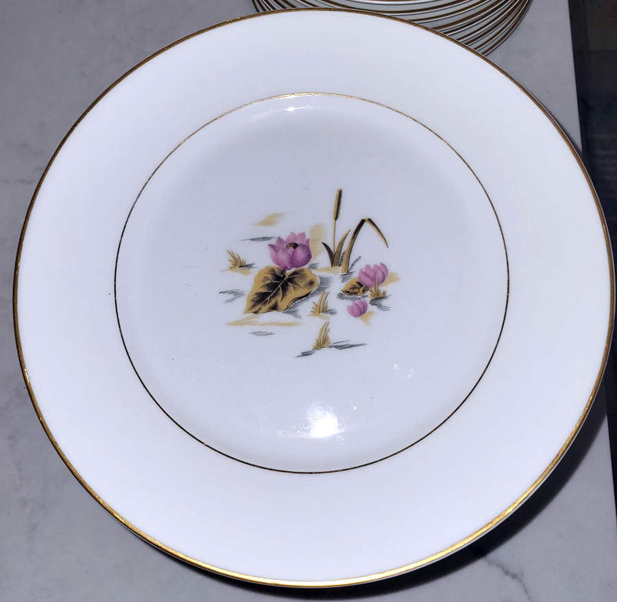 H723 Dinner Plate by Haviland-1