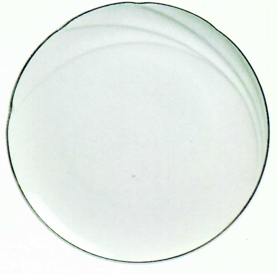 Gray Line Dinner Plate by Hutschenreuther-1