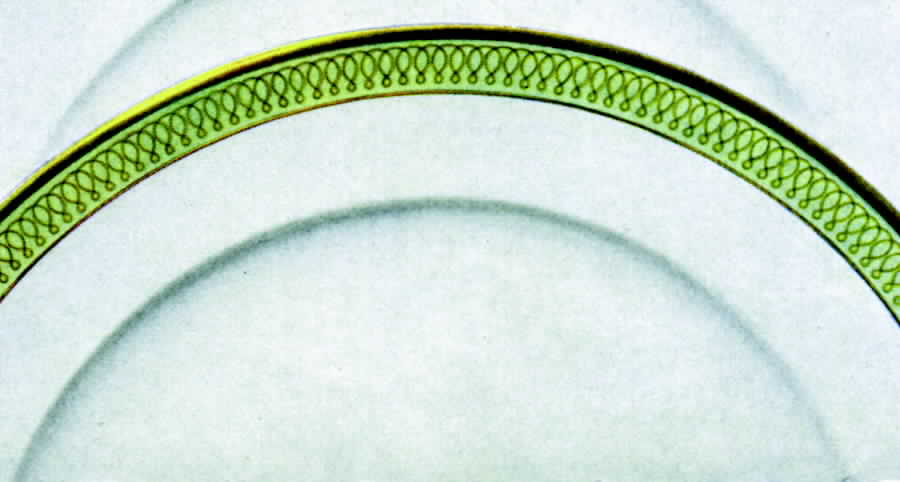 30789 Dinner Plate by Hutschenreuther-1