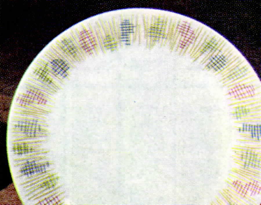 31326-3 Dinner Plate by Hutschenreuther-1