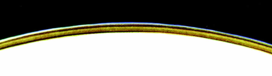 31332 Dinner Plate by Hutschenreuther-1