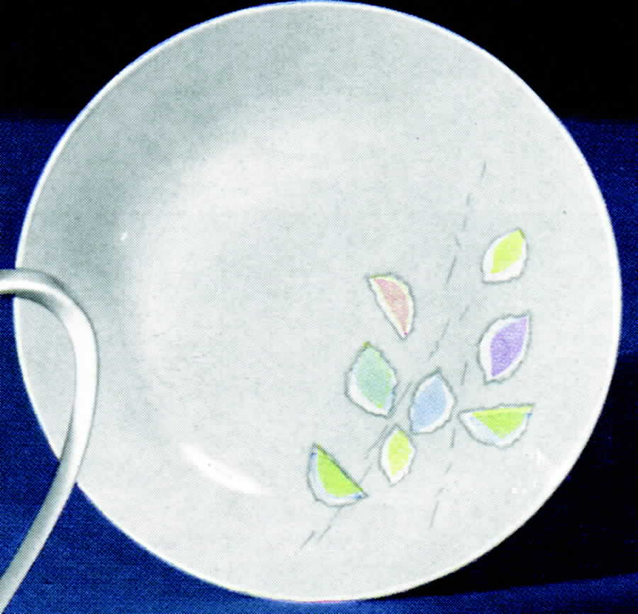 31341-3 Dinner Plate by Hutschenreuther-1