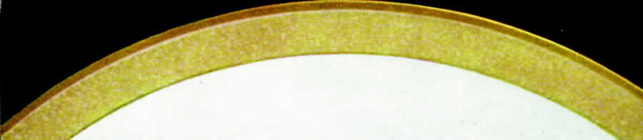 31337-1 Dinner Plate by Hutschenreuther-1