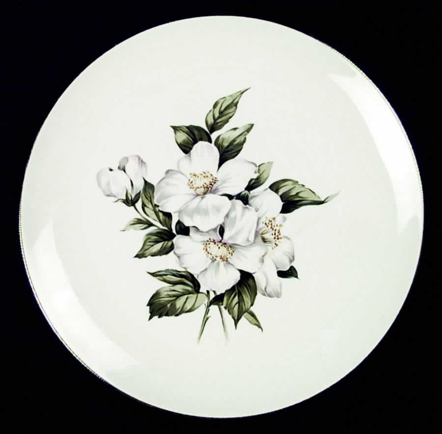 RY316 Dinner Plate by Homer Laughlin -1