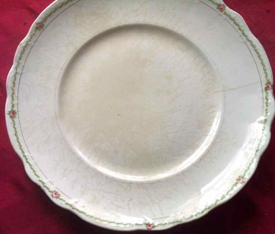 H106 Dinner Plate by Homer Laughlin -1