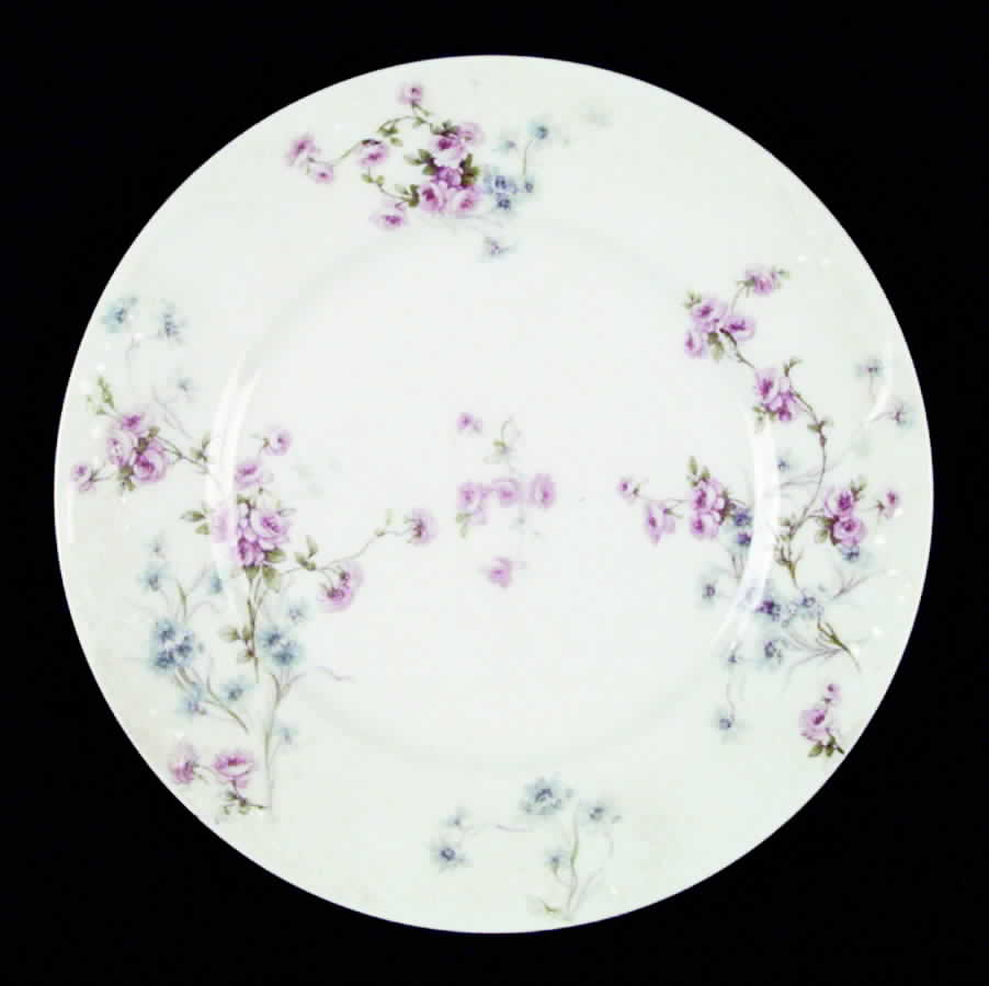 Schleiger 309-5 Salad Plate by Haviland-1