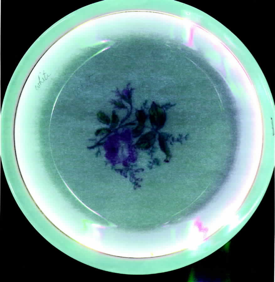 H734 Dinner Plate by Haviland-1