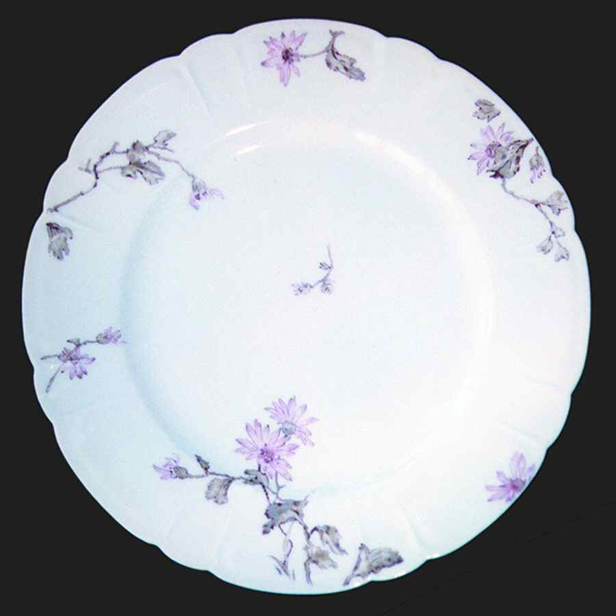 H738 Dinner Plate by Haviland-1
