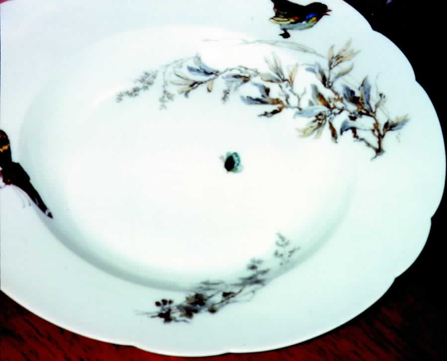 H739 Rim Soup Bowl by Haviland-1