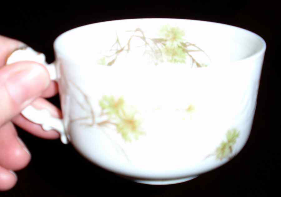 Schleiger 431 Flat Cup by Haviland-1