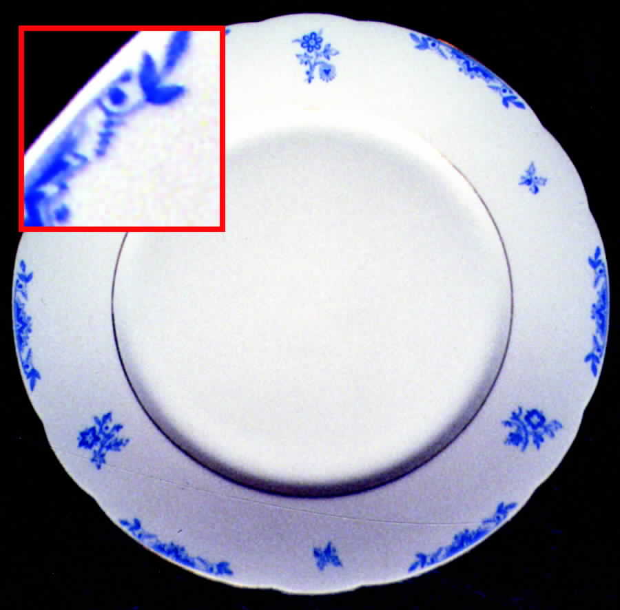 HUT638 Dinner Plate by Hutschenreuther-1