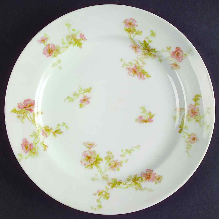 Schleiger 90A Salad Plate by Haviland-1