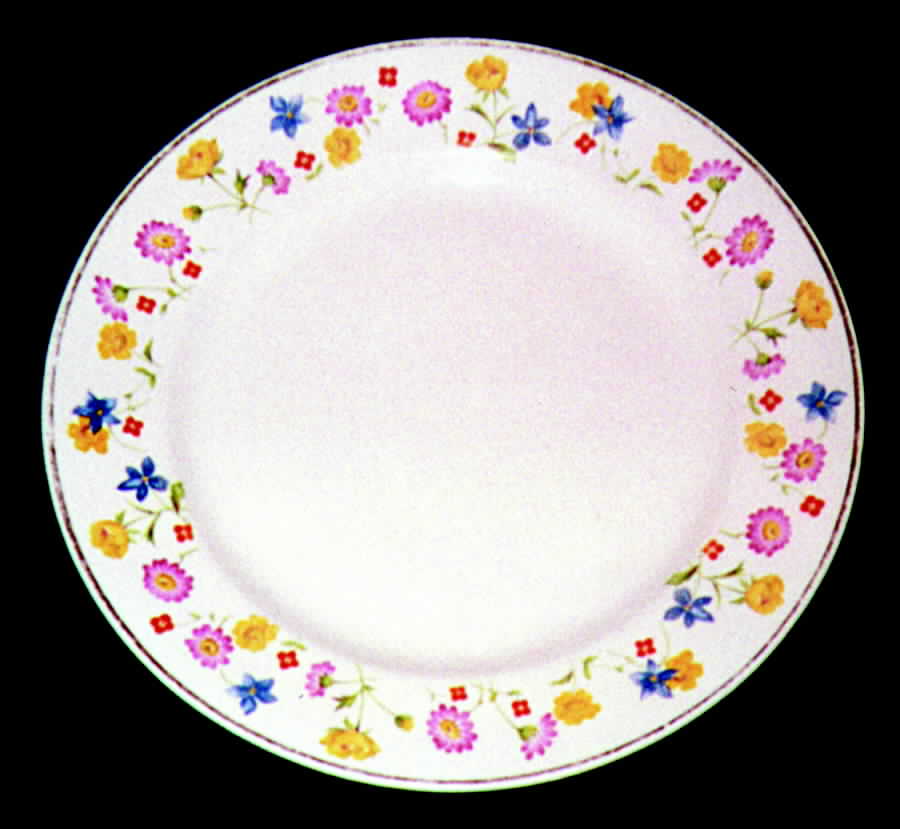 HLC910 Dinner Plate by Homer Laughlin -1