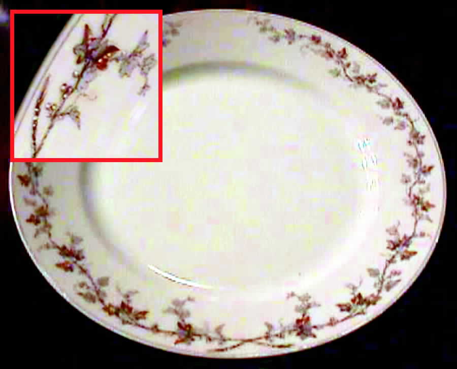 H742 Dinner Plate by Haviland-1
